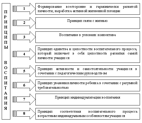 Принципы воспитания в педагогике